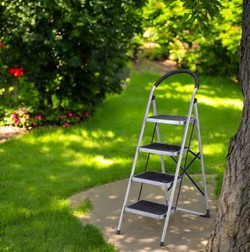 סולם דרגש מז'ור 4 שלבים