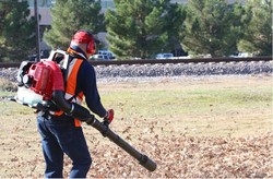 מפוח עלים גבי 3700W BL70SP