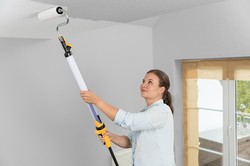 רולר צביעה ידנית עם בוכנת צבע EasyRoller 630W 