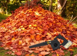 מפוח נטען 18V (גוף בלבד)