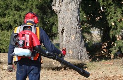 מפוח עלים גבי 3700W BL70SP