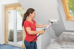 רולר צביעה ידנית עם בוכנת צבע EasyRoller 630W 